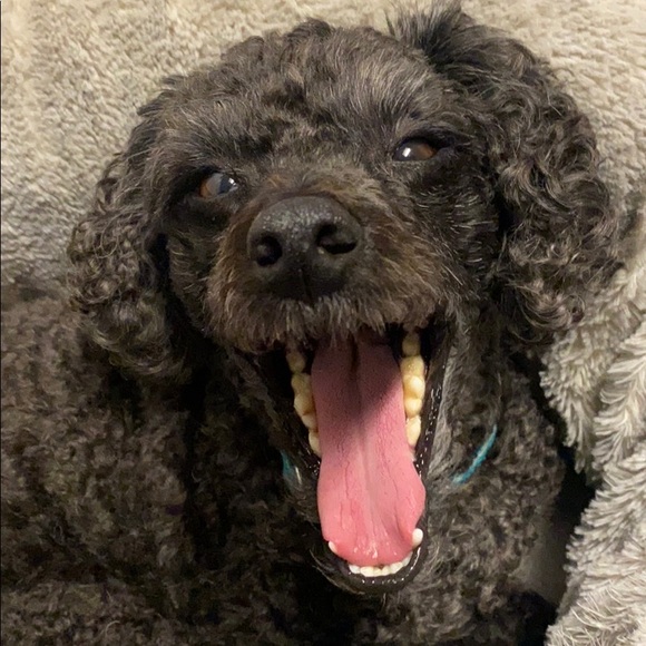 Meet your Posher, Kim - Picture 1 of 1